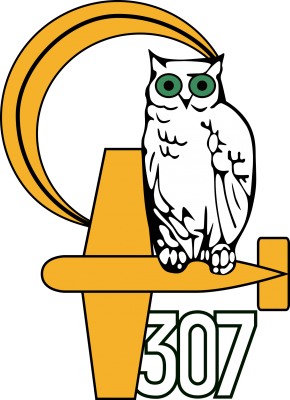 1200px-307th_Polish_Night_Fighter_Squadron.svg.png