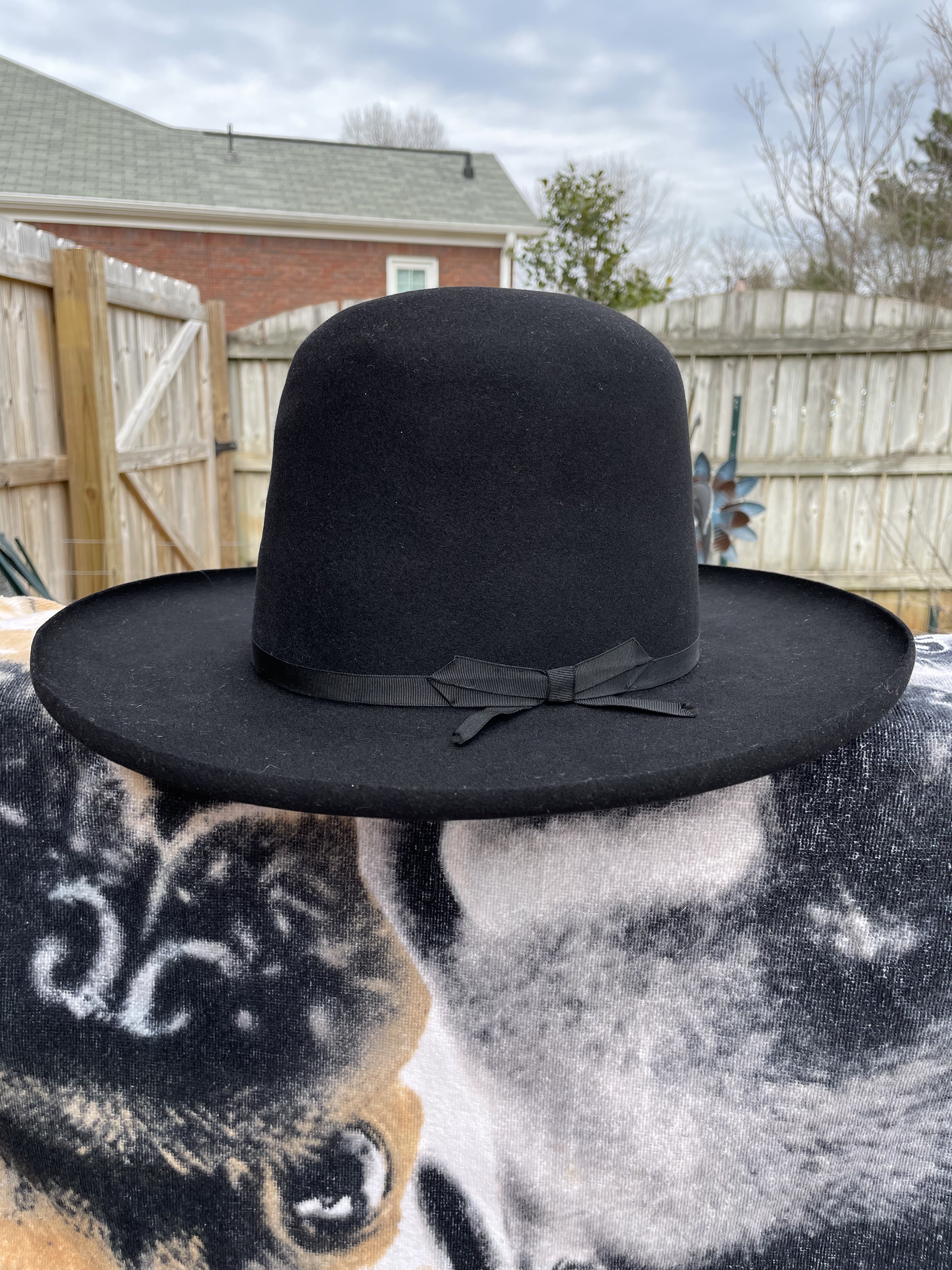 08C3B8C1-06B5-4D3E-AC57-23B8BFEF032C.jpeg