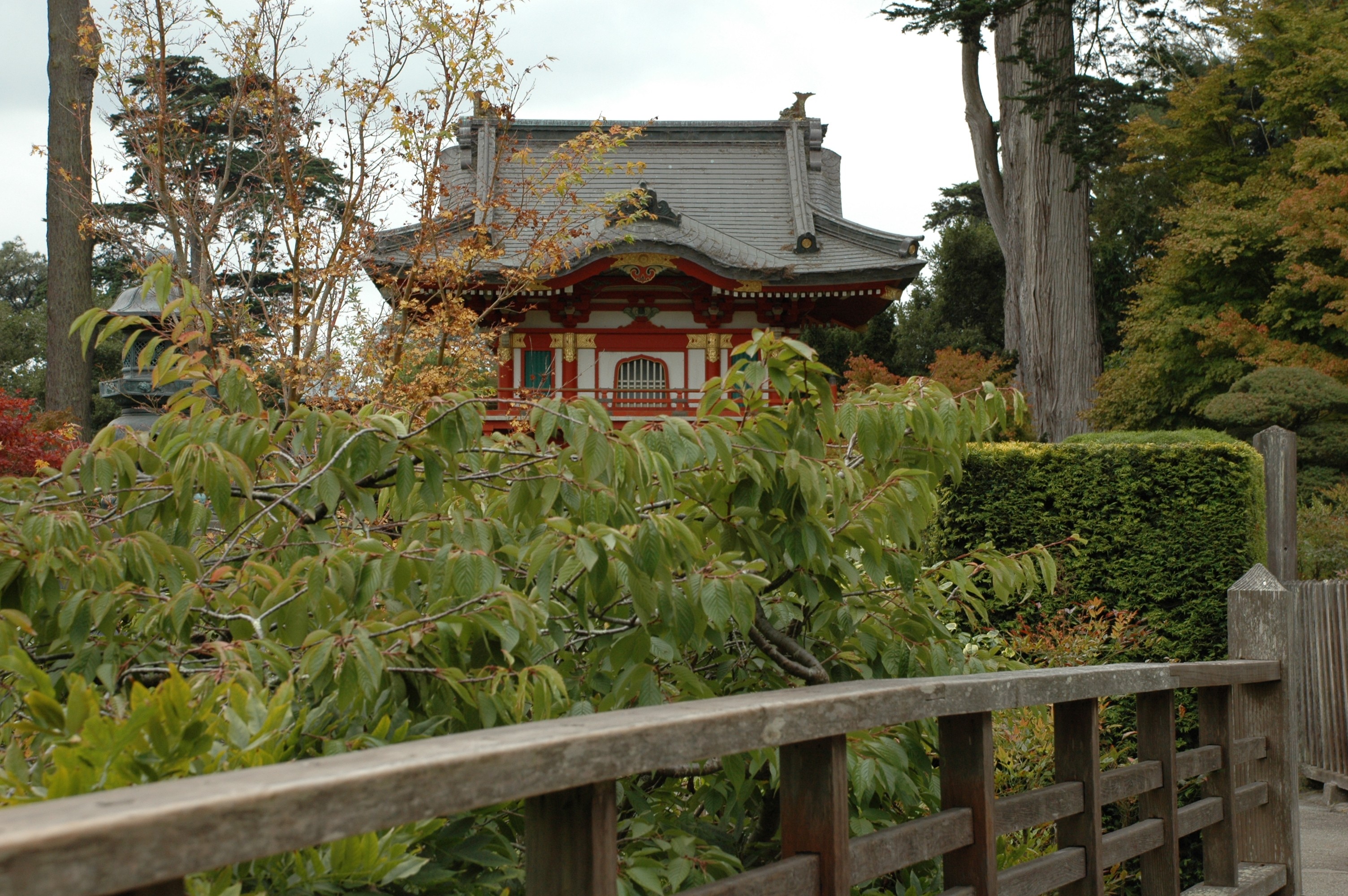 10-12-09  Pagoda6.jpg