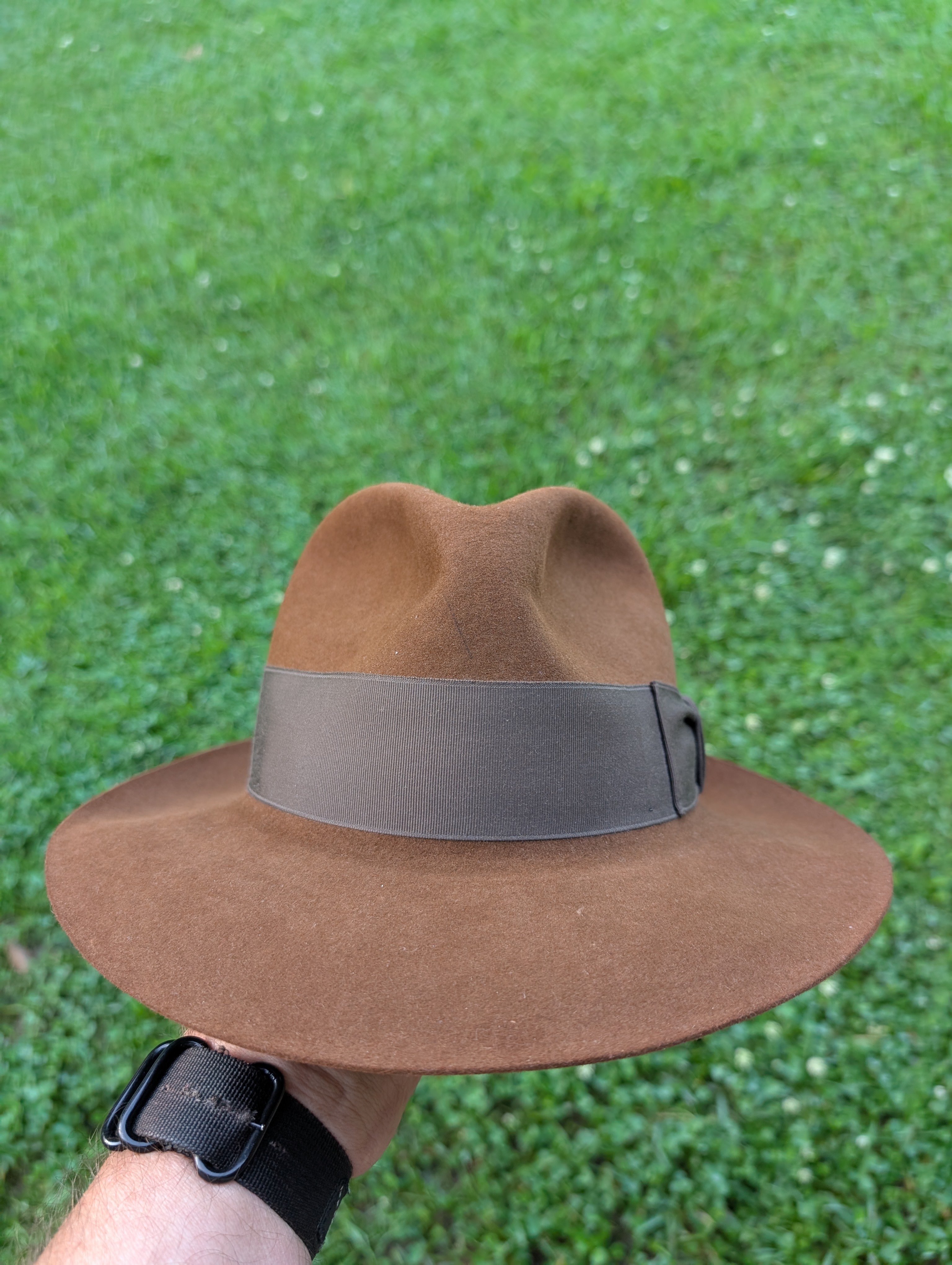 1000001972.jpg