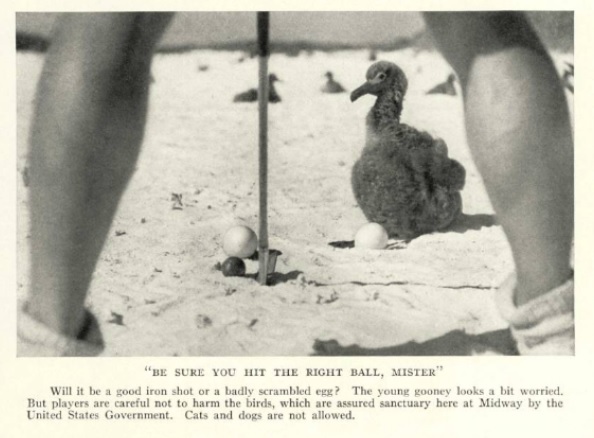 1935 Shorts at Midway.jpg