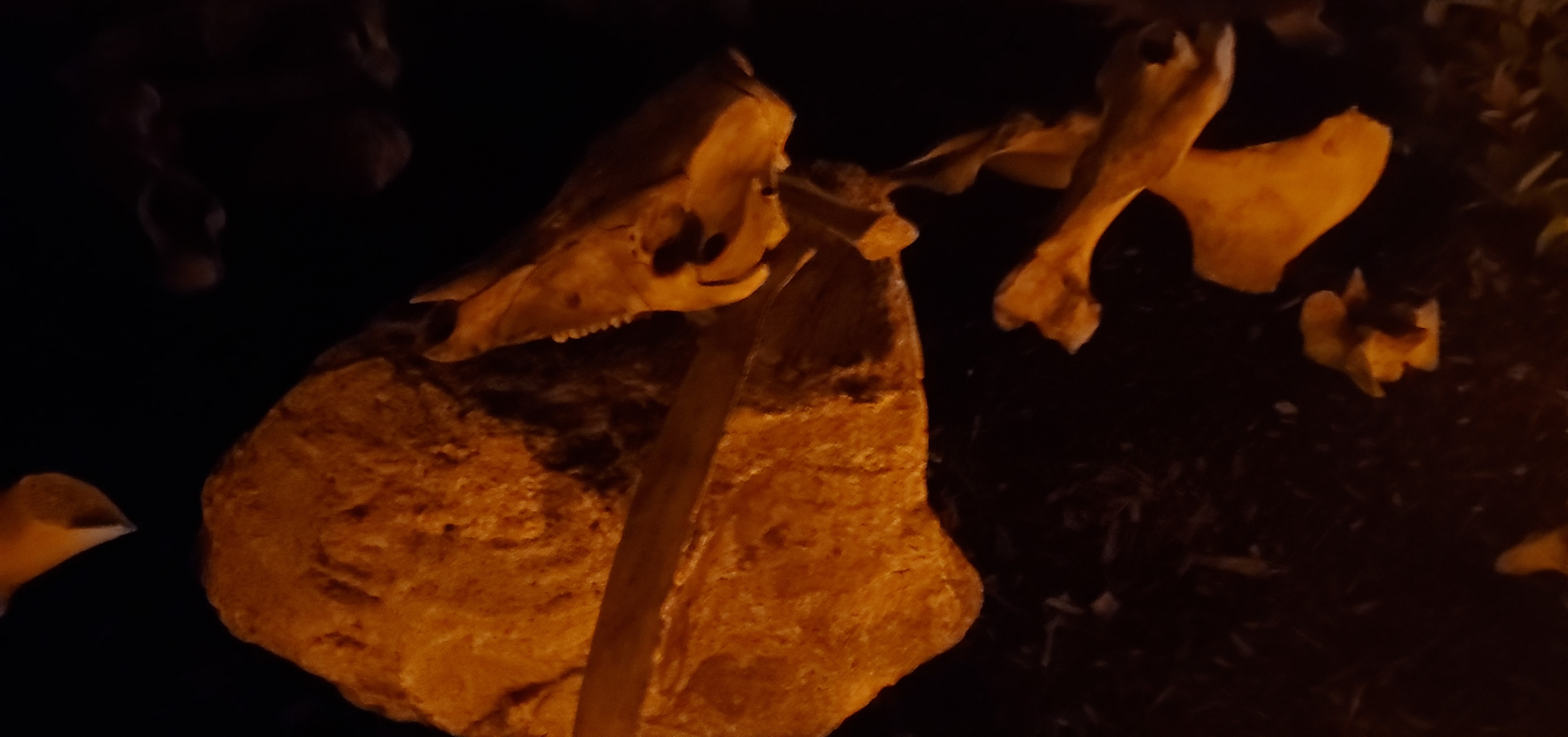 20211006_005739.jpg