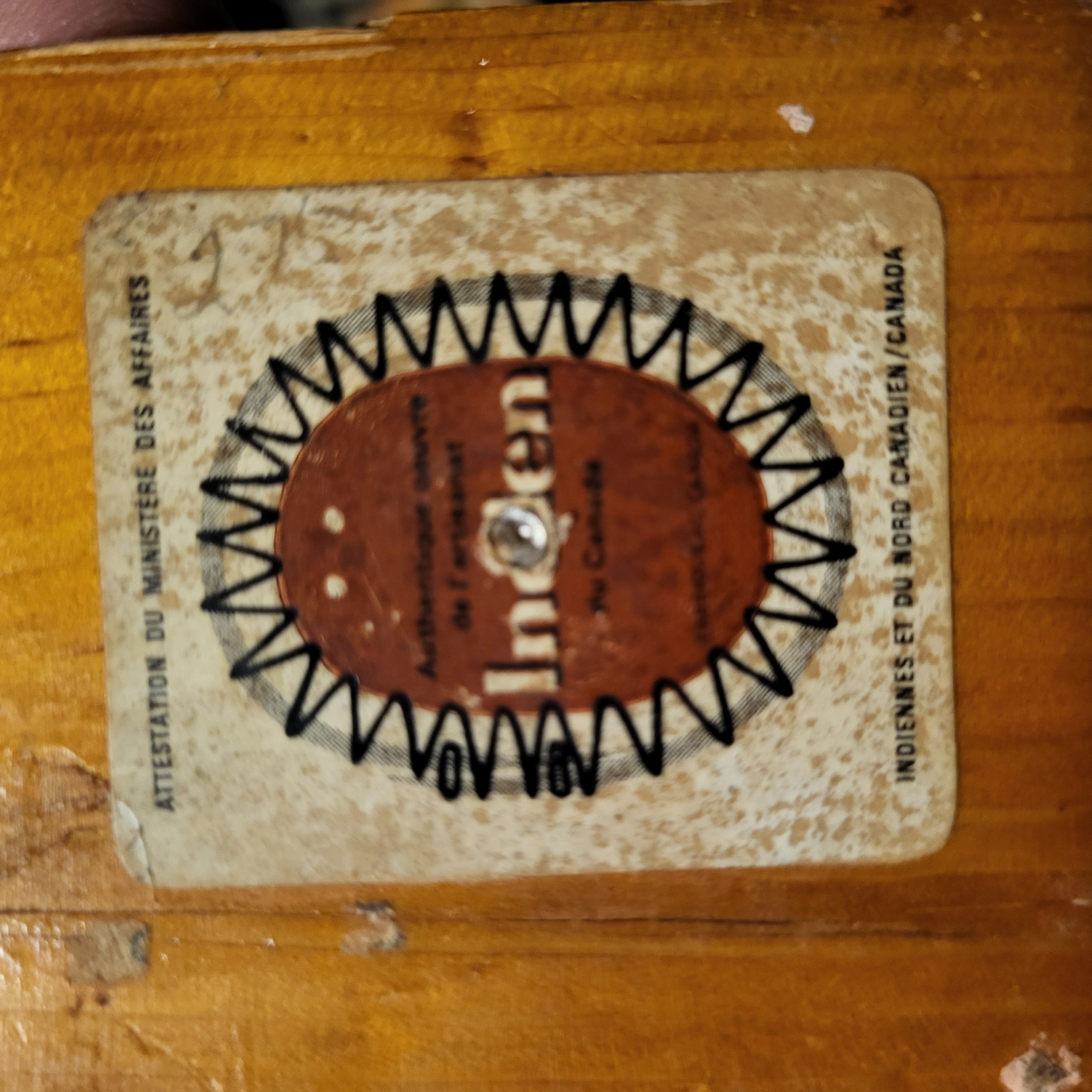 20250707_184544.jpg