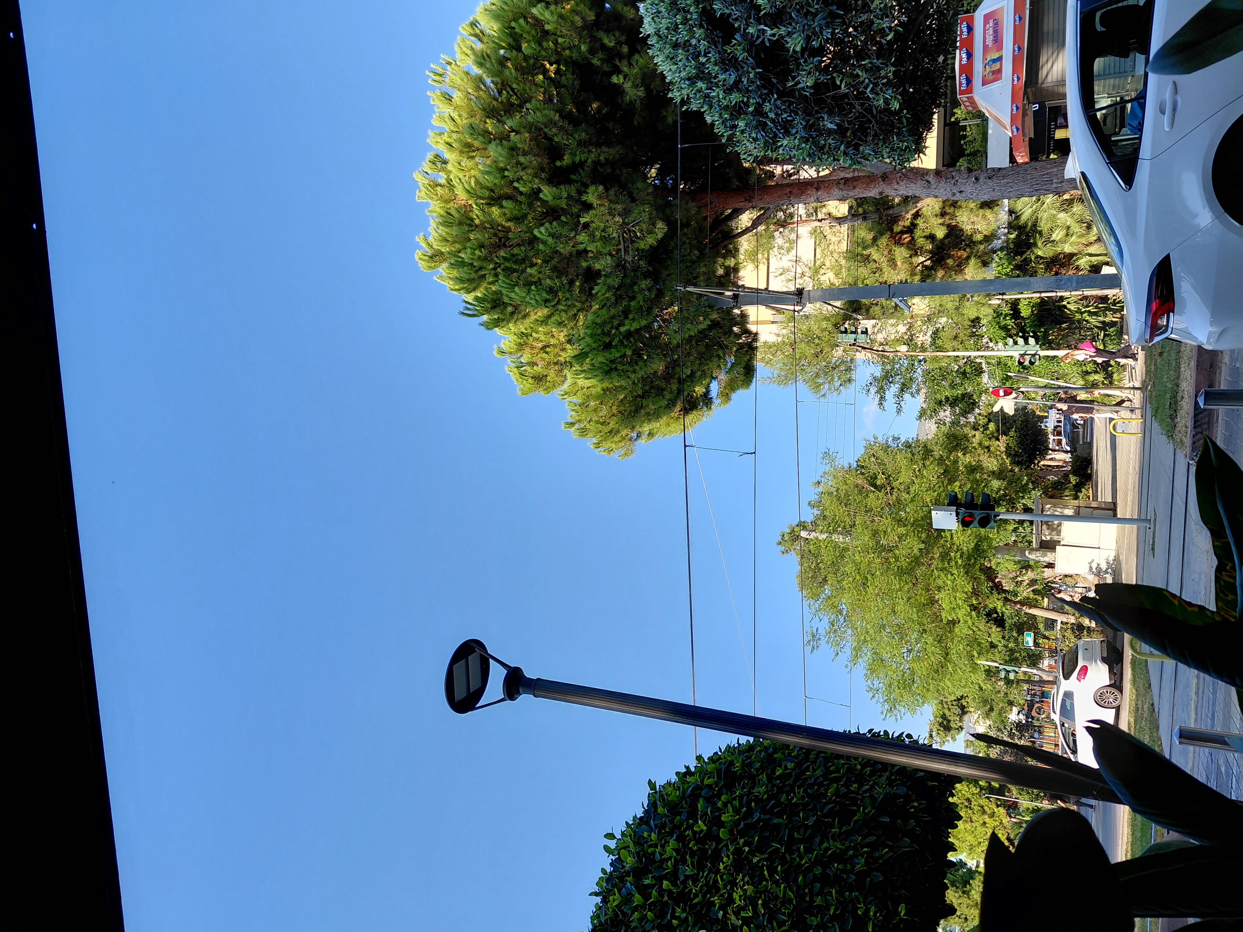 20250814_184301.jpg