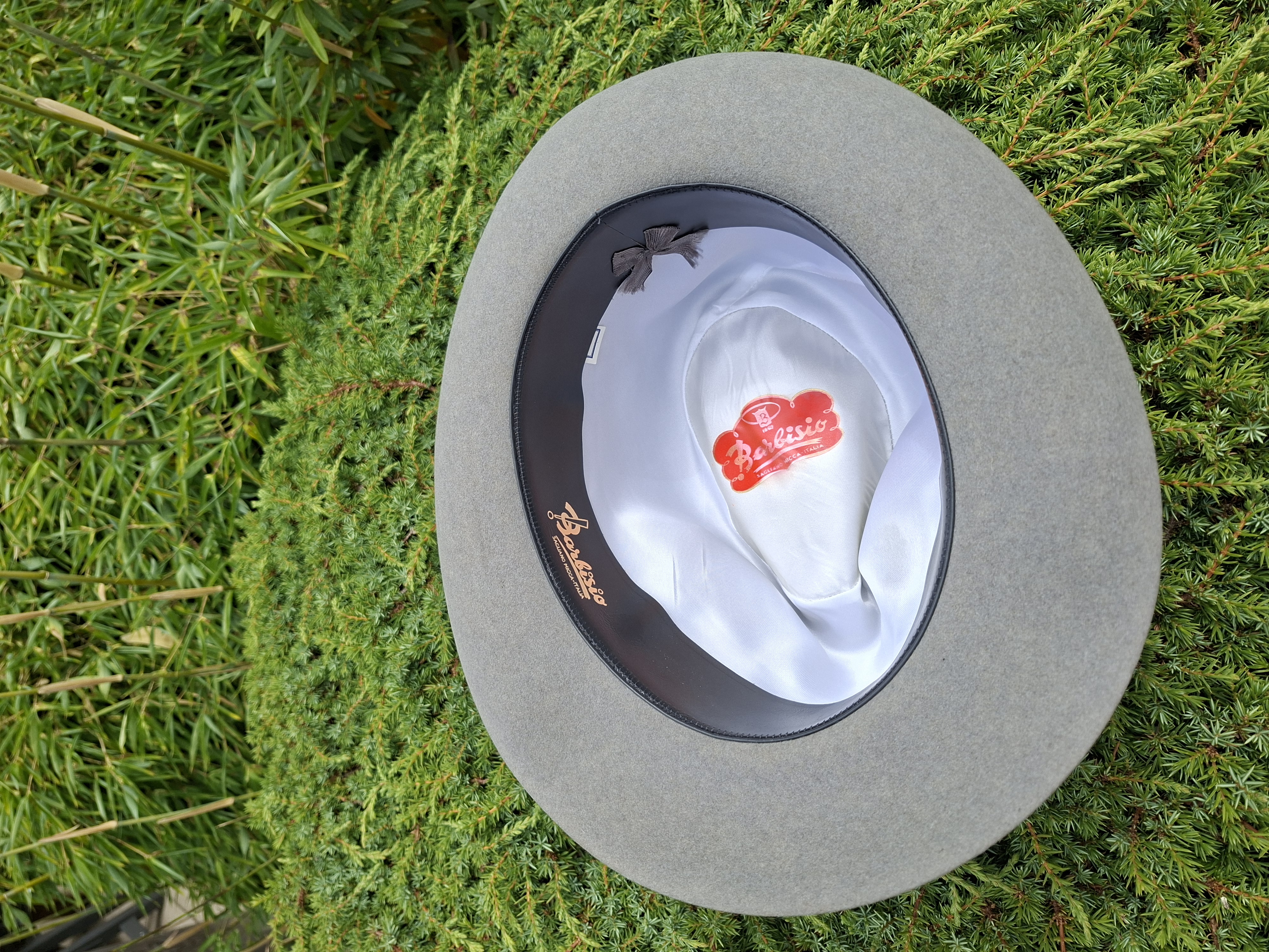 20260724_142230.jpg