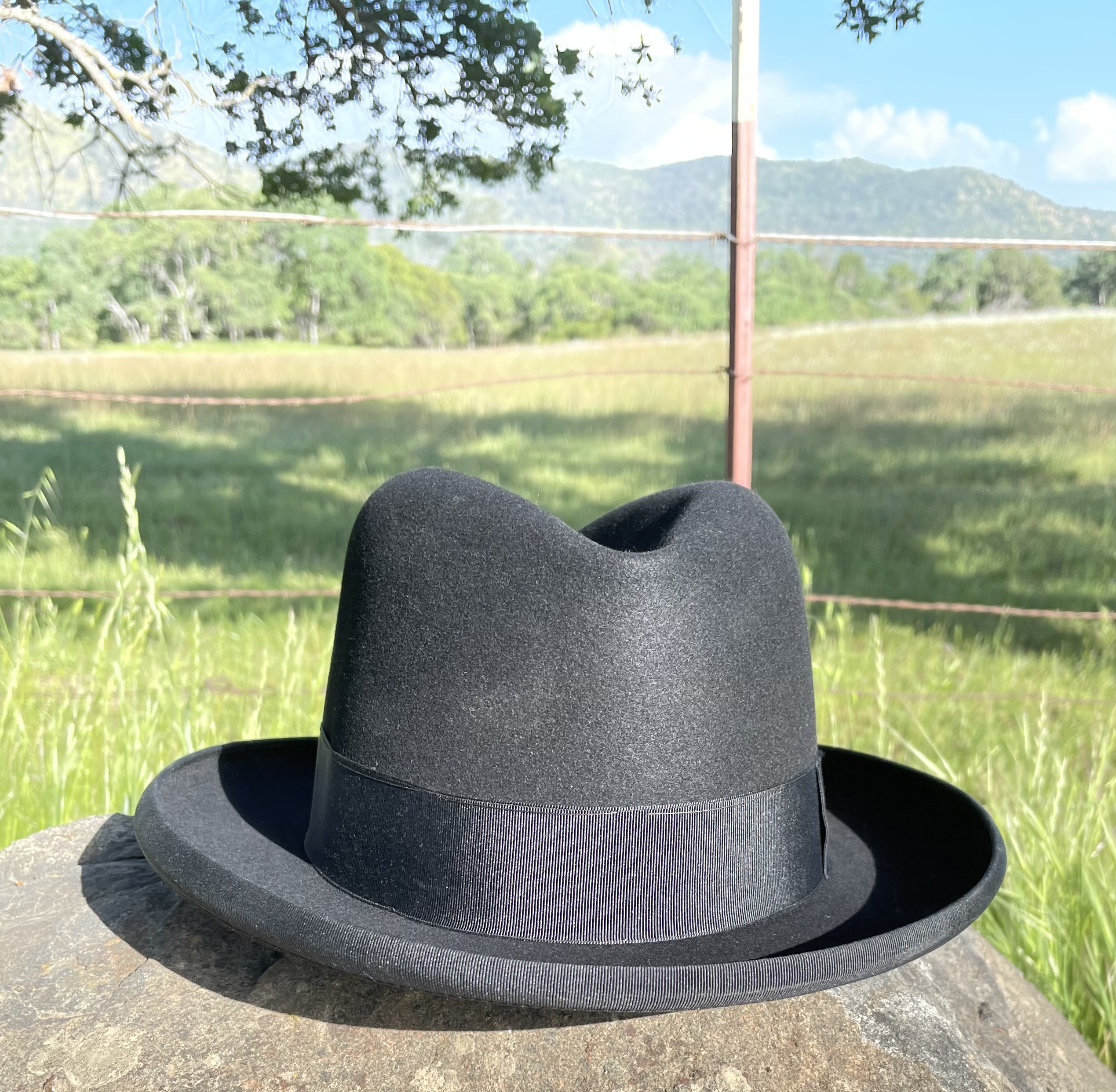 2B6EC951-09D7-4163-AD6E-A851B988D439.jpeg