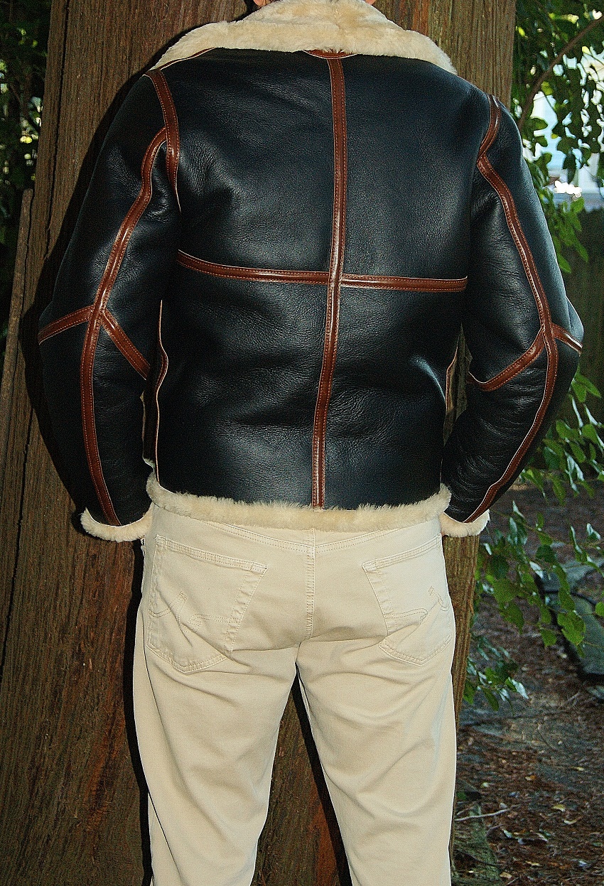 Aero D-1 Two-Tone Back 1.jpg