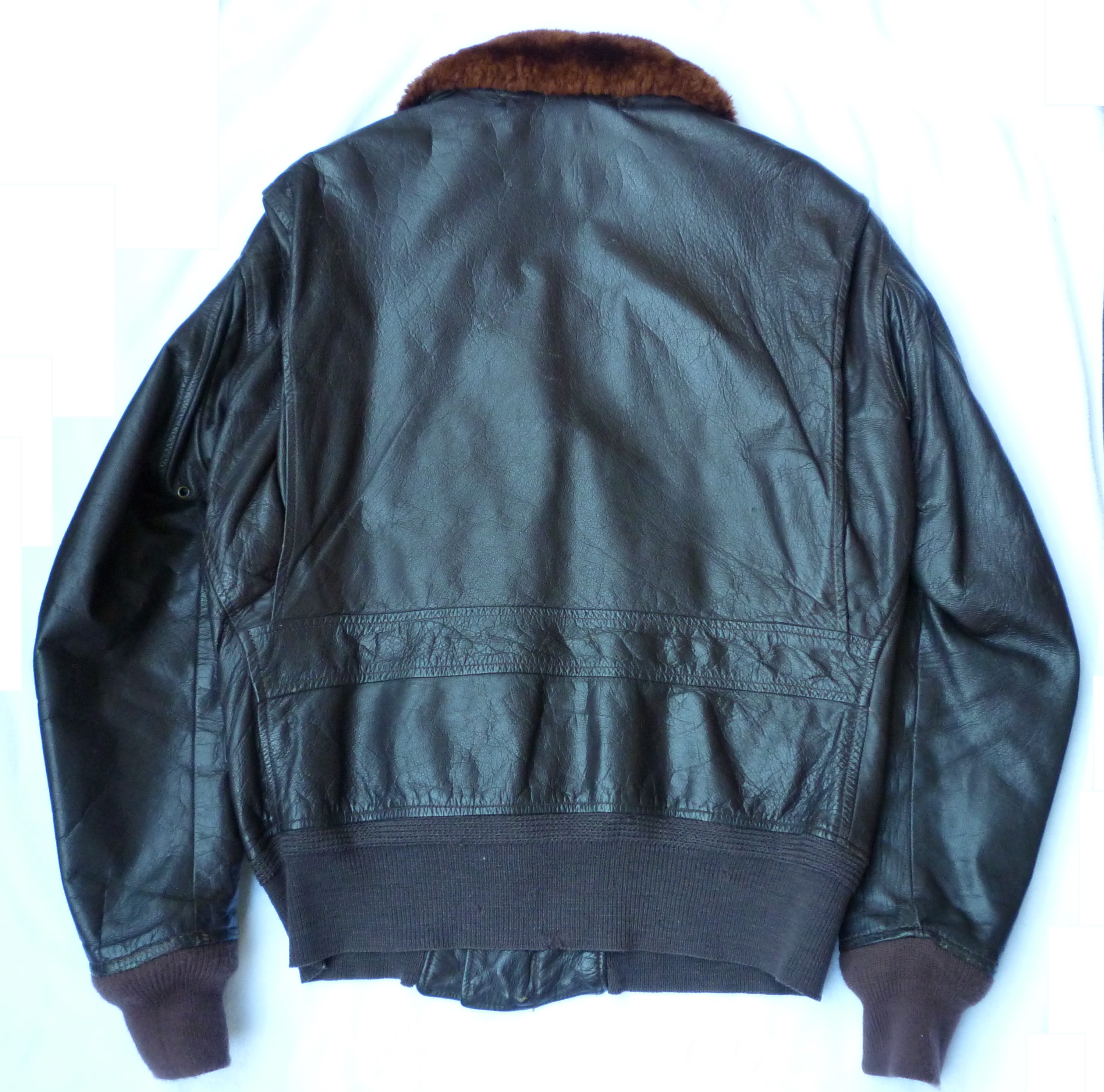 B-Back1.jpg