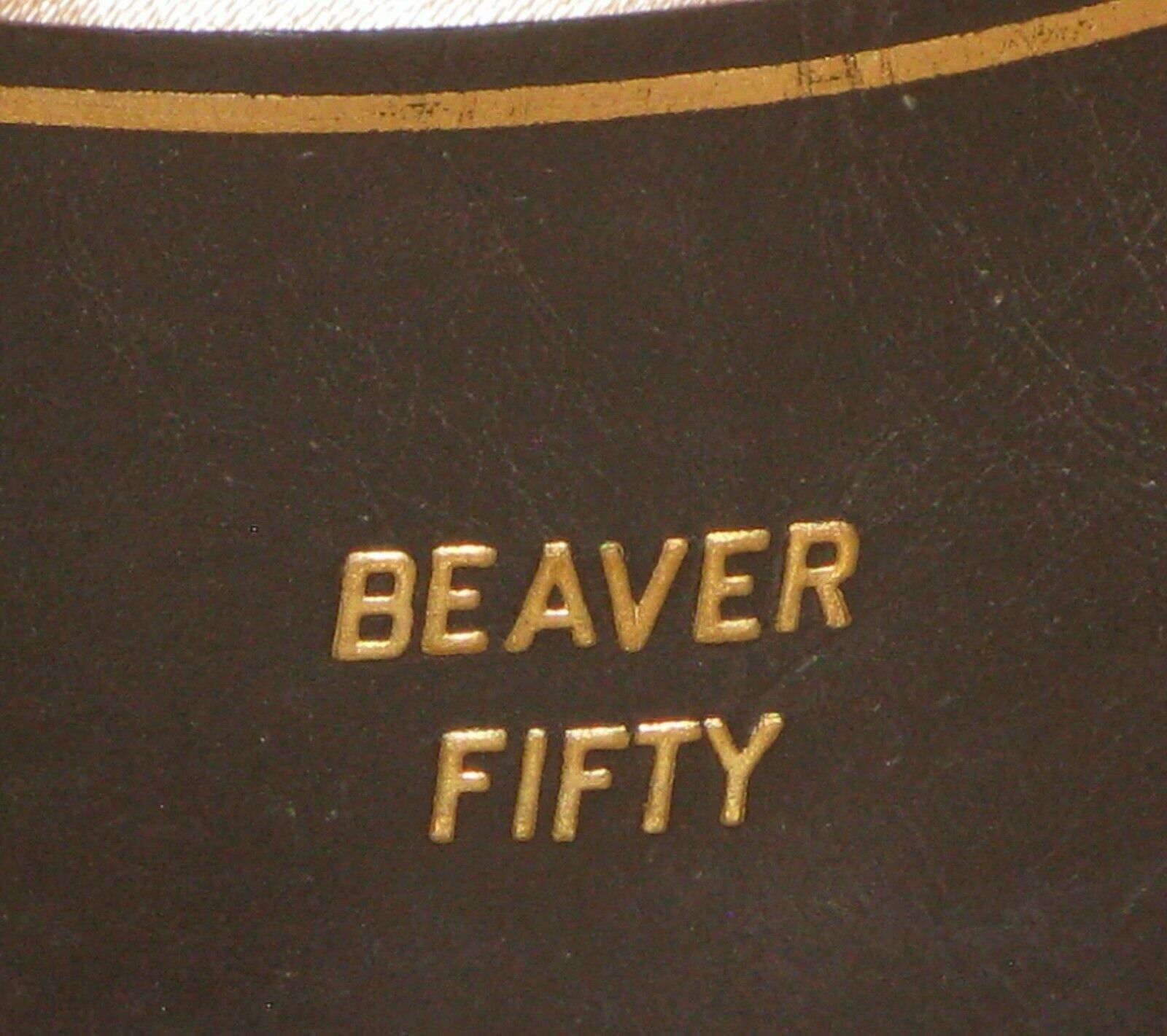 Beaver 50 4.jpg
