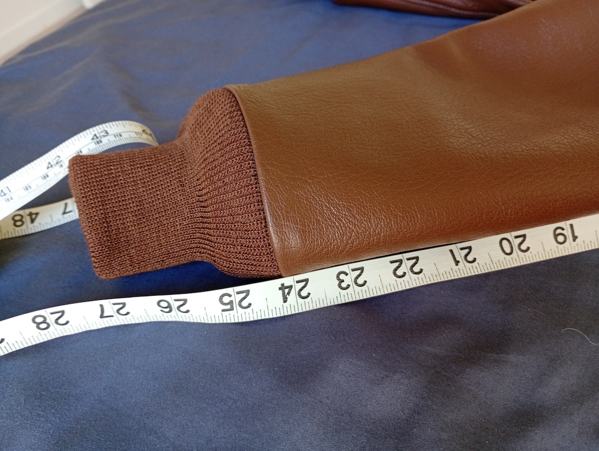 BK Bronco goat 42 Dims 5.jpg