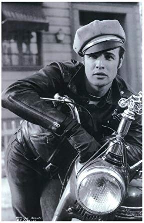 Brando on Motor.jpg
