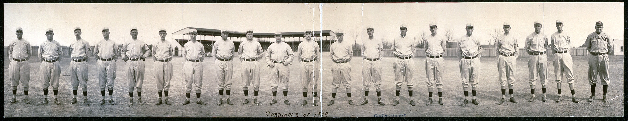 Cardinals of 1909.jpg