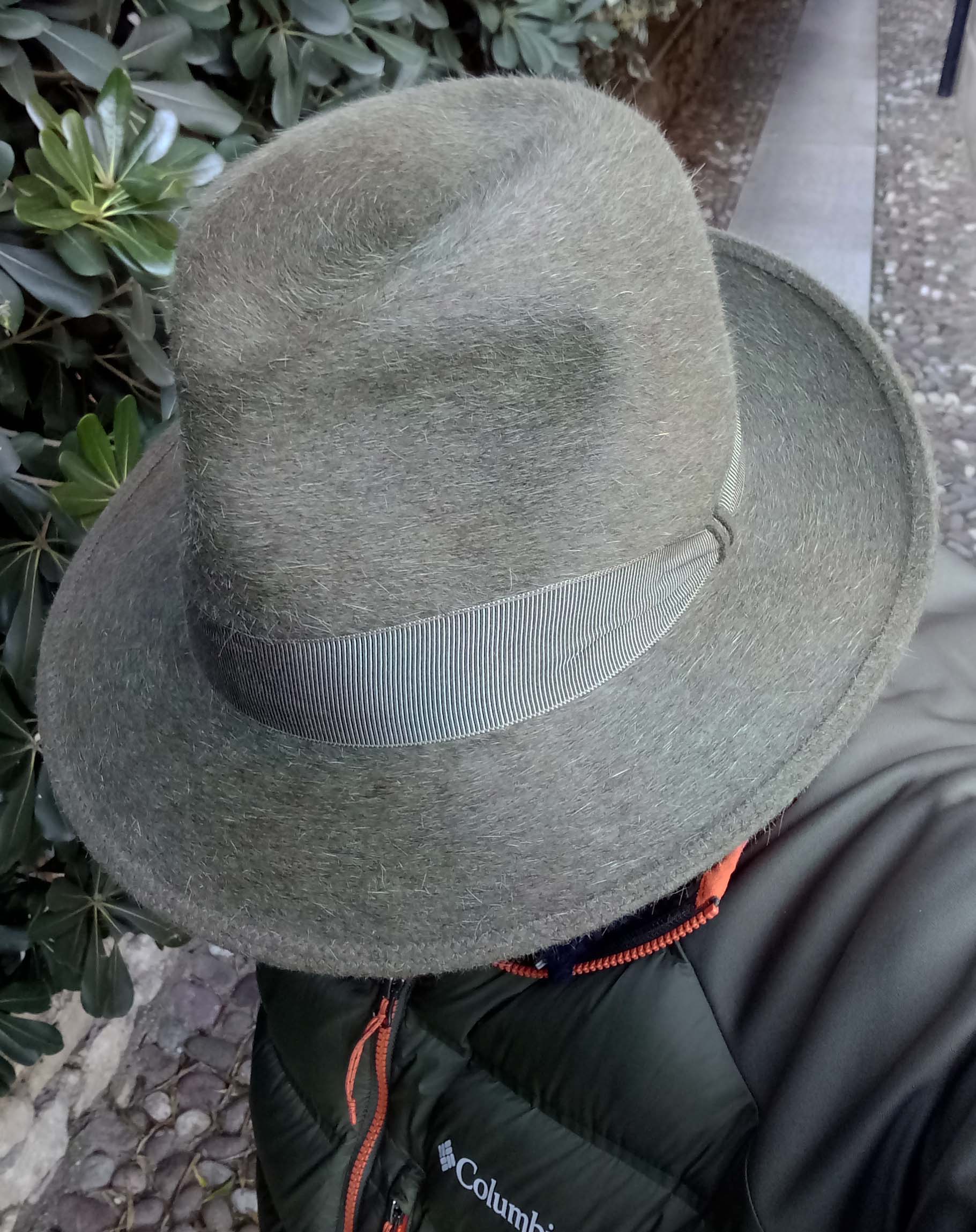 CervoVerde 3.jpg