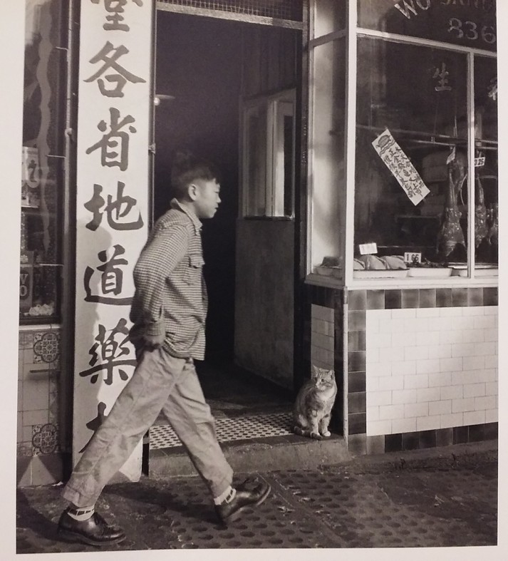 chinatown scene 1960.jpg