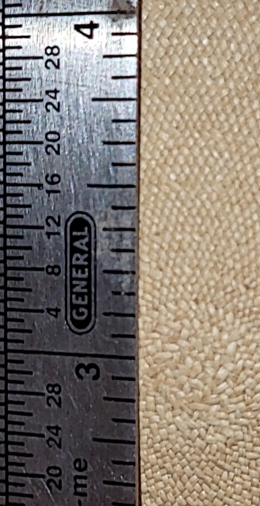 CM260610-083114002.jpg