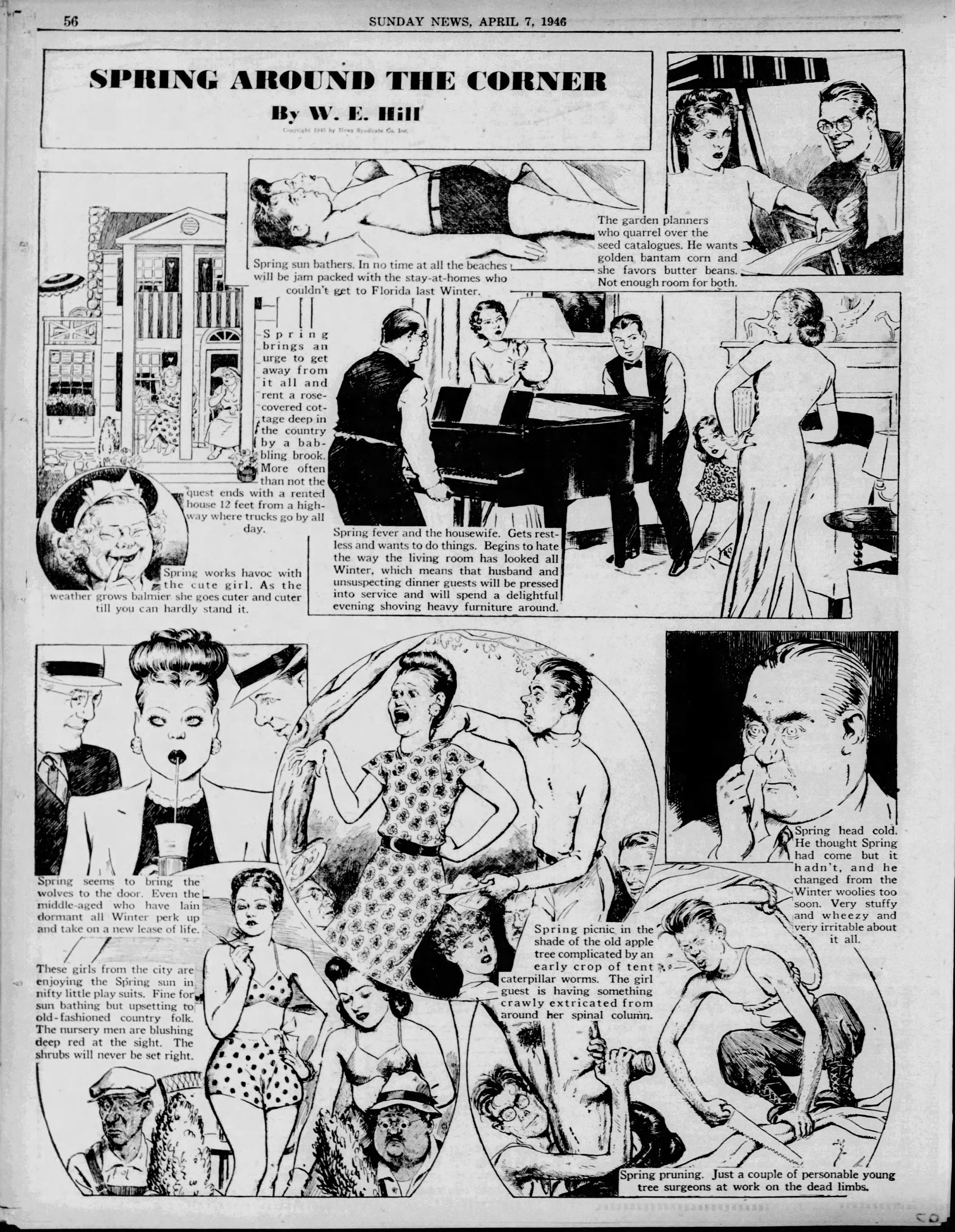 Daily_News_1946_04_07_56.jpg