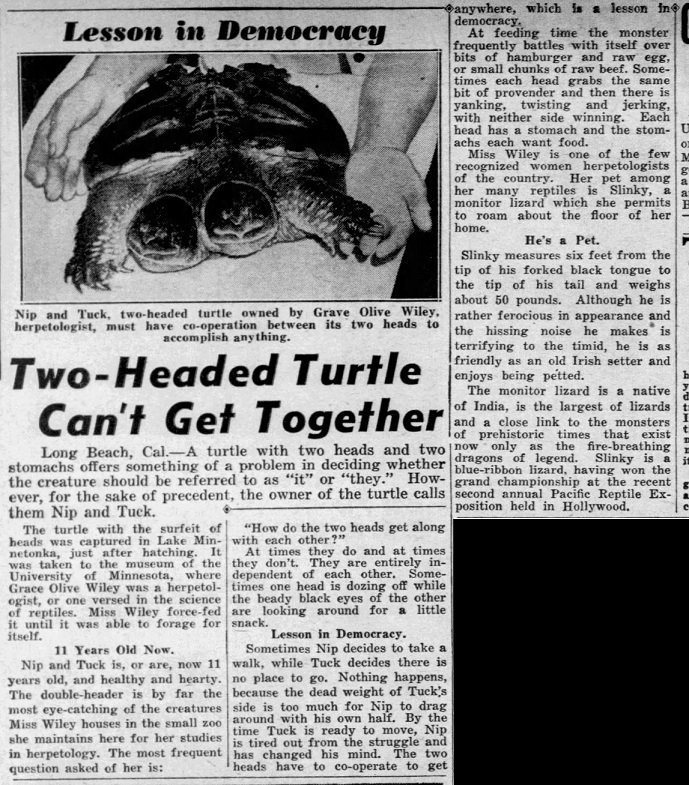 Daily_News_Sun__Feb_11__1940_.jpg