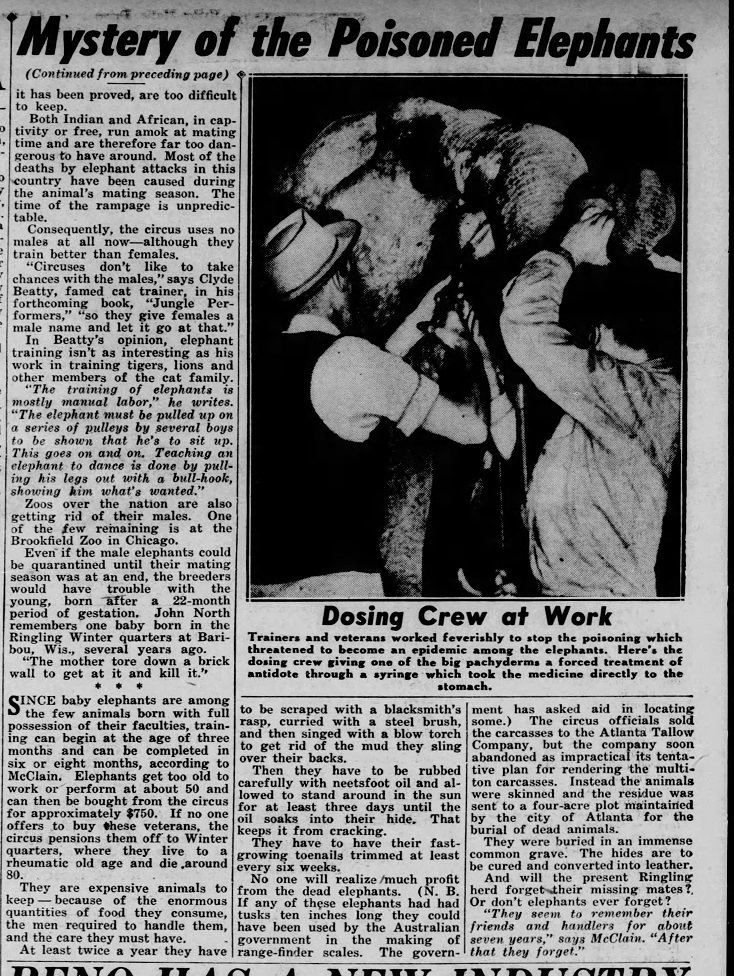 Daily_News_Sun__Nov_16__1941_(13).jpg