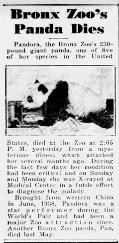 Daily_News_Wed__May_14__1941_(1).jpg