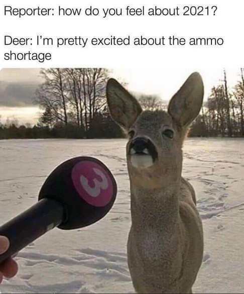 deer-interview-reporter-2021-ammo-shortage.jpg