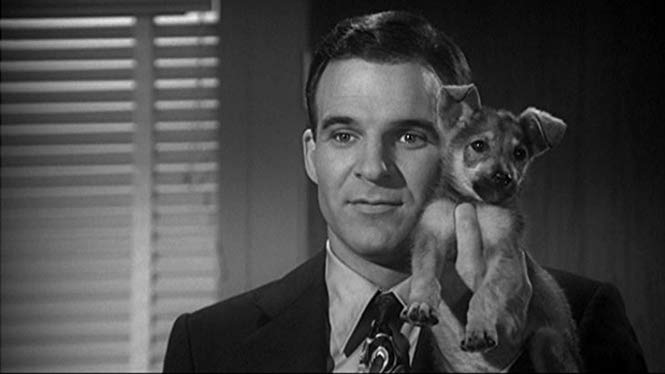 DMDWP-Puppy.jpg