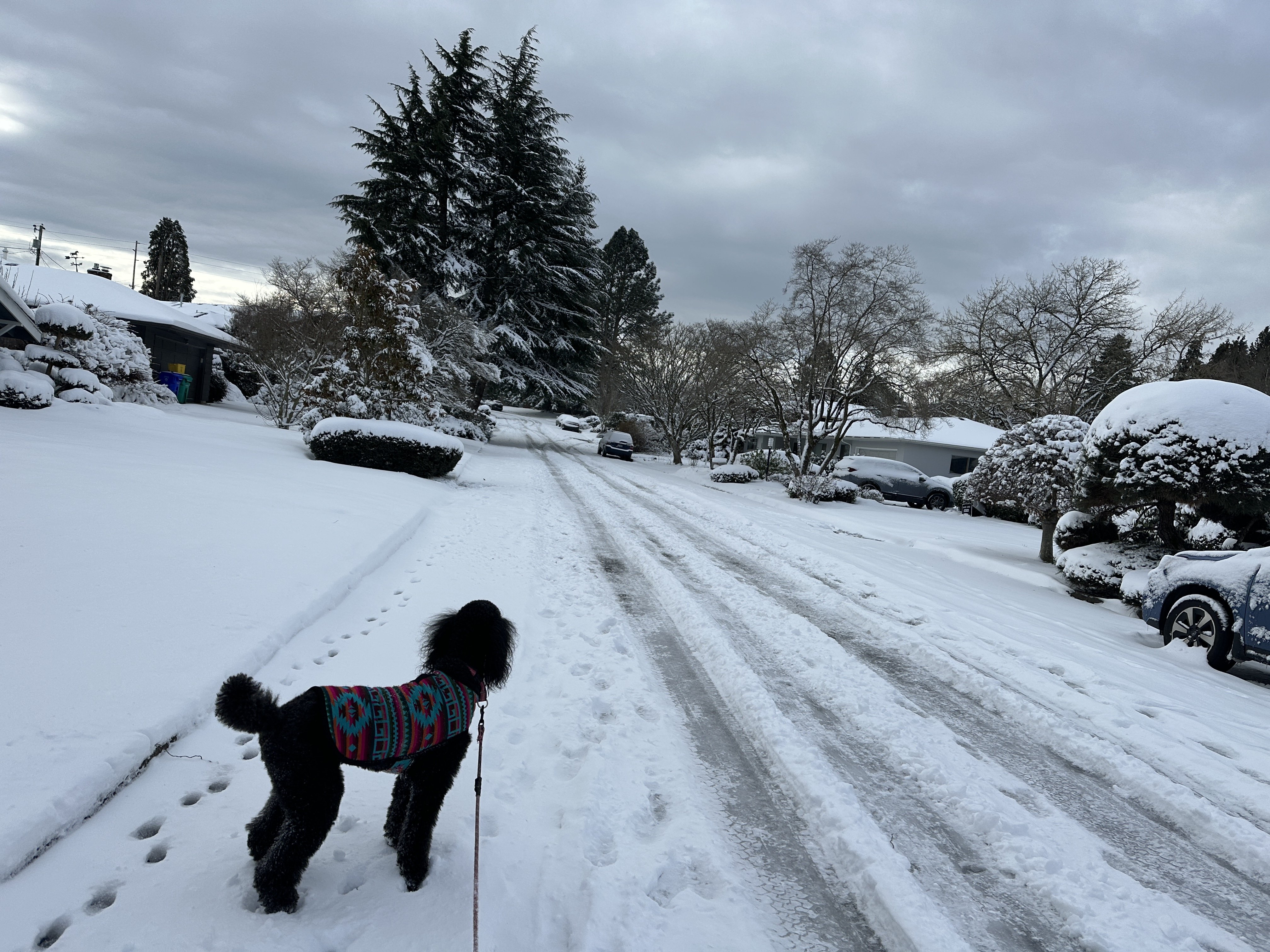 F0250E17-12DA-48F5-A930-410772CEAEA2.jpeg
