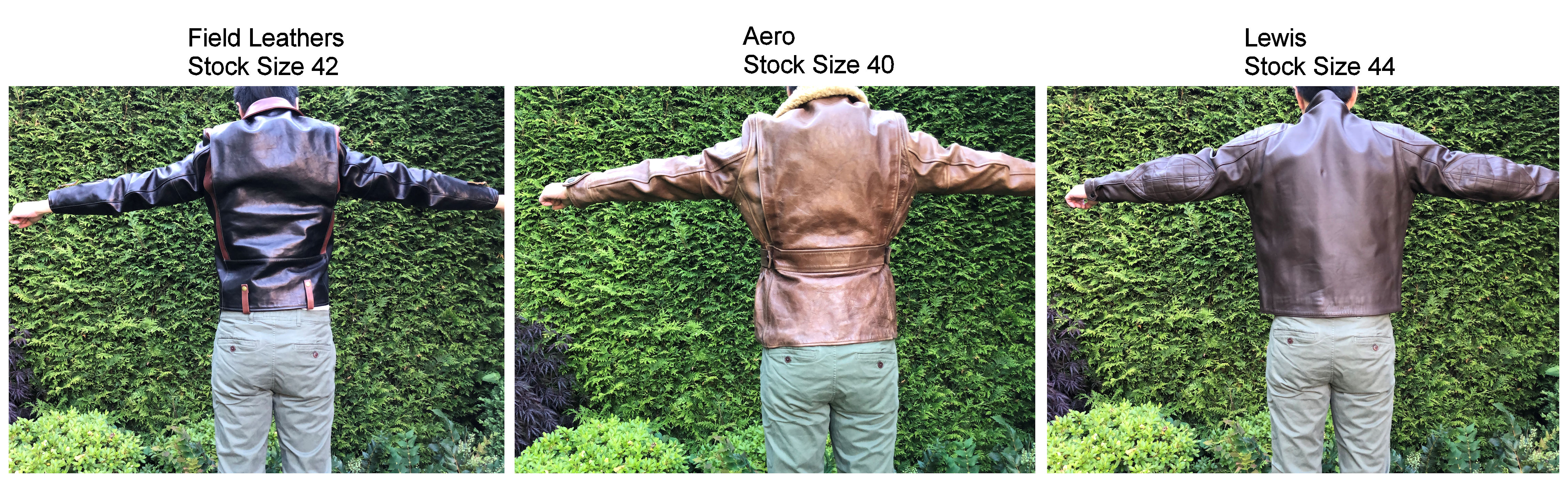 Field vs Aero vs Lewis 01.jpg