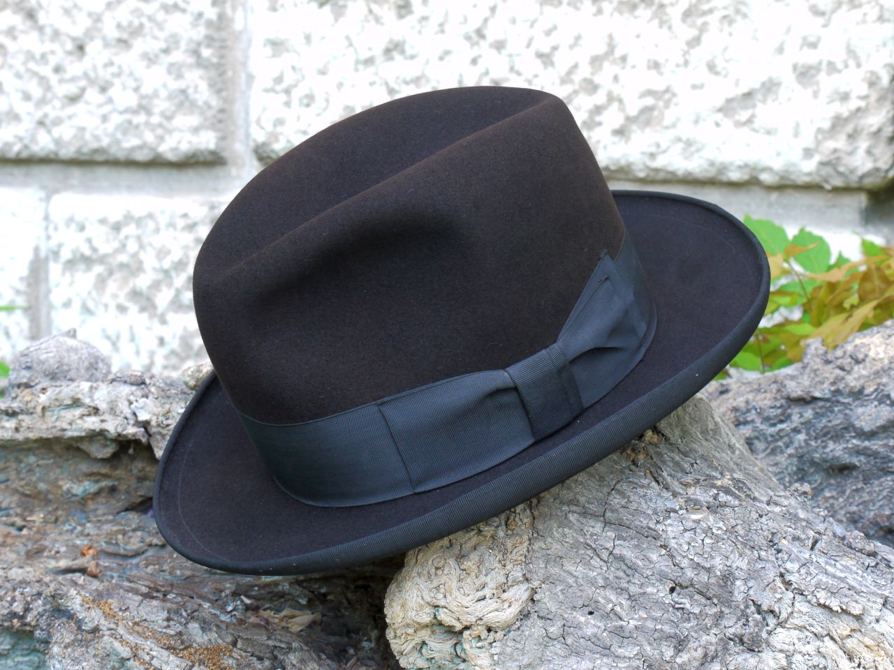 flechet-h-2-jpg.235776