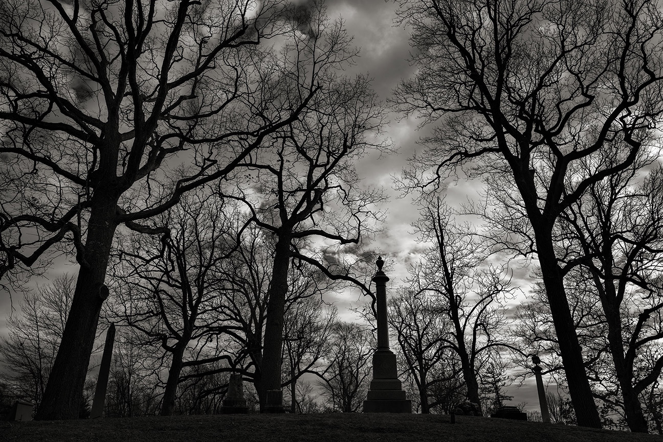 forest_lawn1.jpg