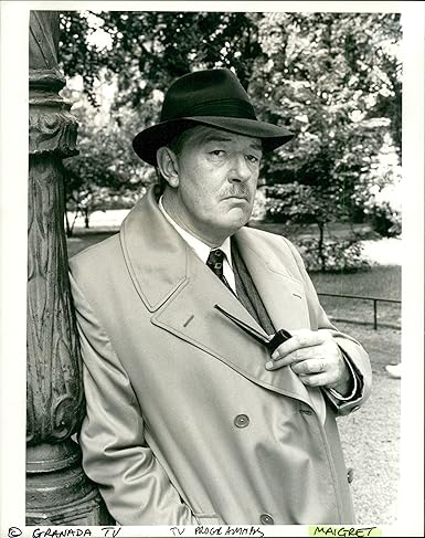 gambon.jpg