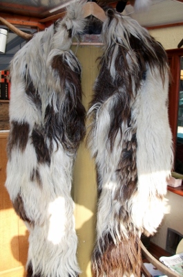 Goatcoat 3 (265x400).jpg
