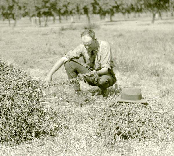 HC970 1924 Alfalfa farmer Hat.jpg