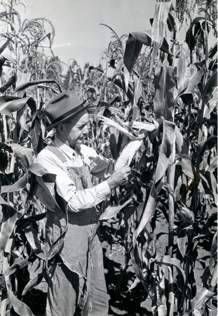 HC970 1939 Corn Farmer OR.jpg