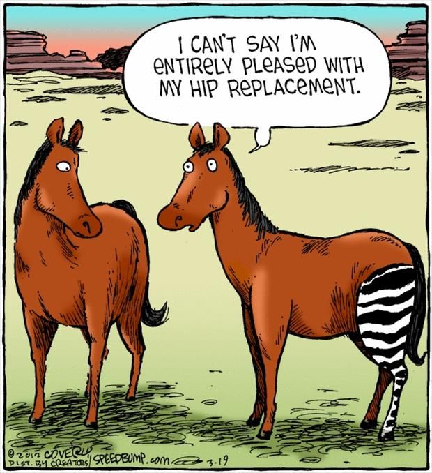 hip replacement.jpg