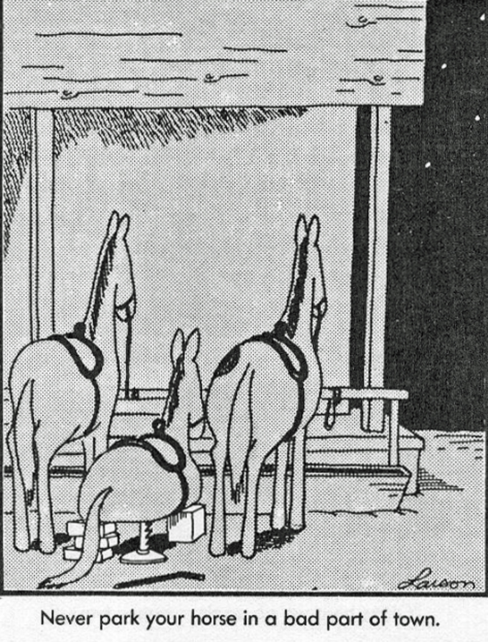 Horse jacked.jpg