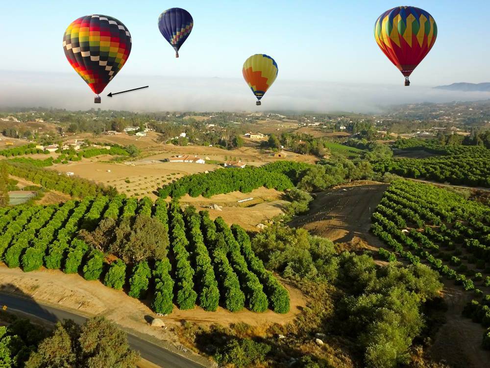 Hot-Air-Balloon-Ride-in-Temecula-Wine-Country.jpg
