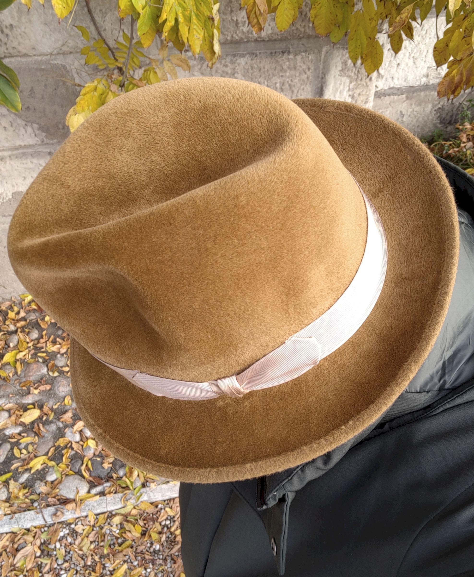 HUTTER Miele B.jpg