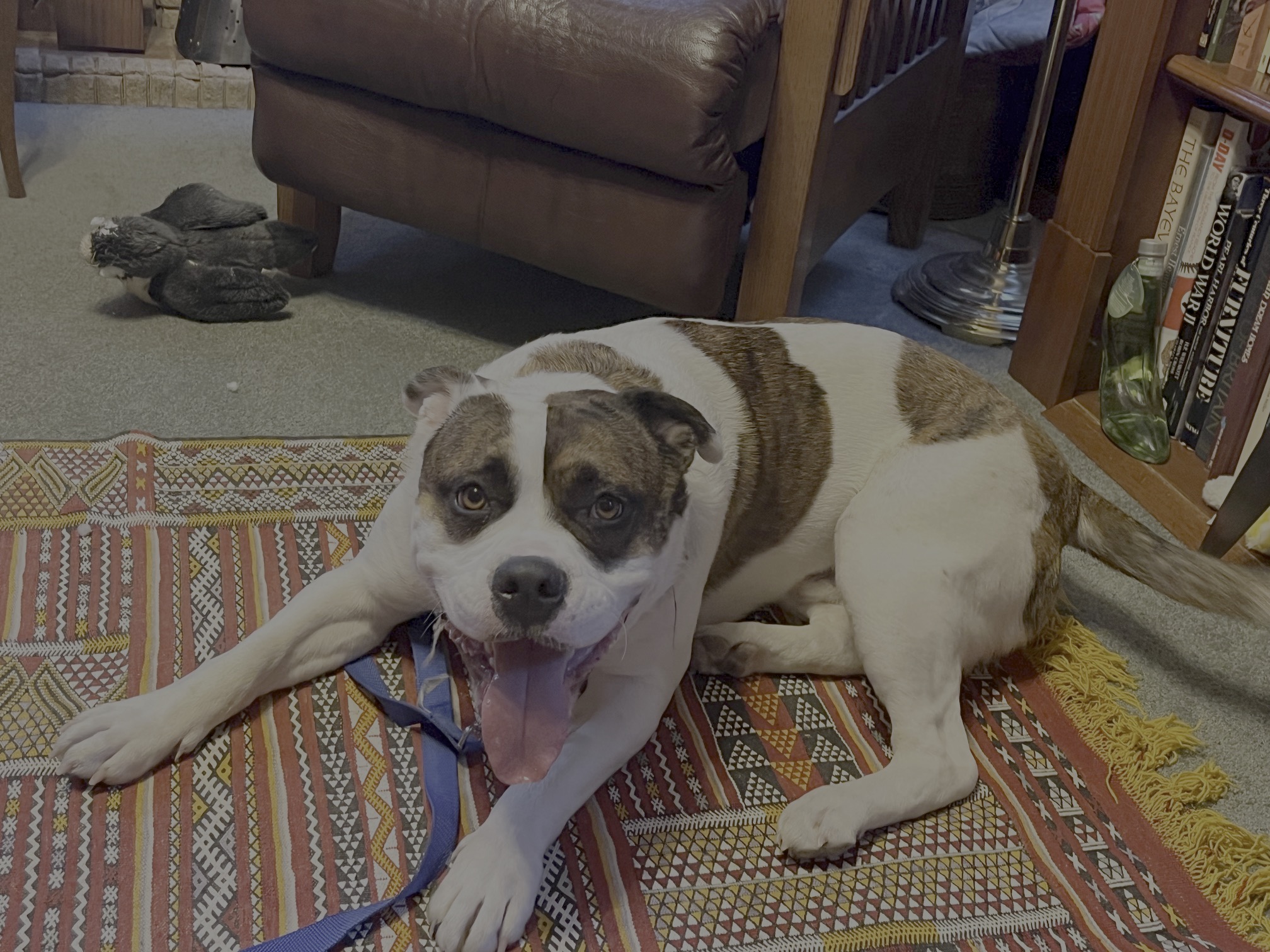 Image 2.jpeg