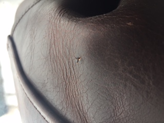 image1-2.JPG
