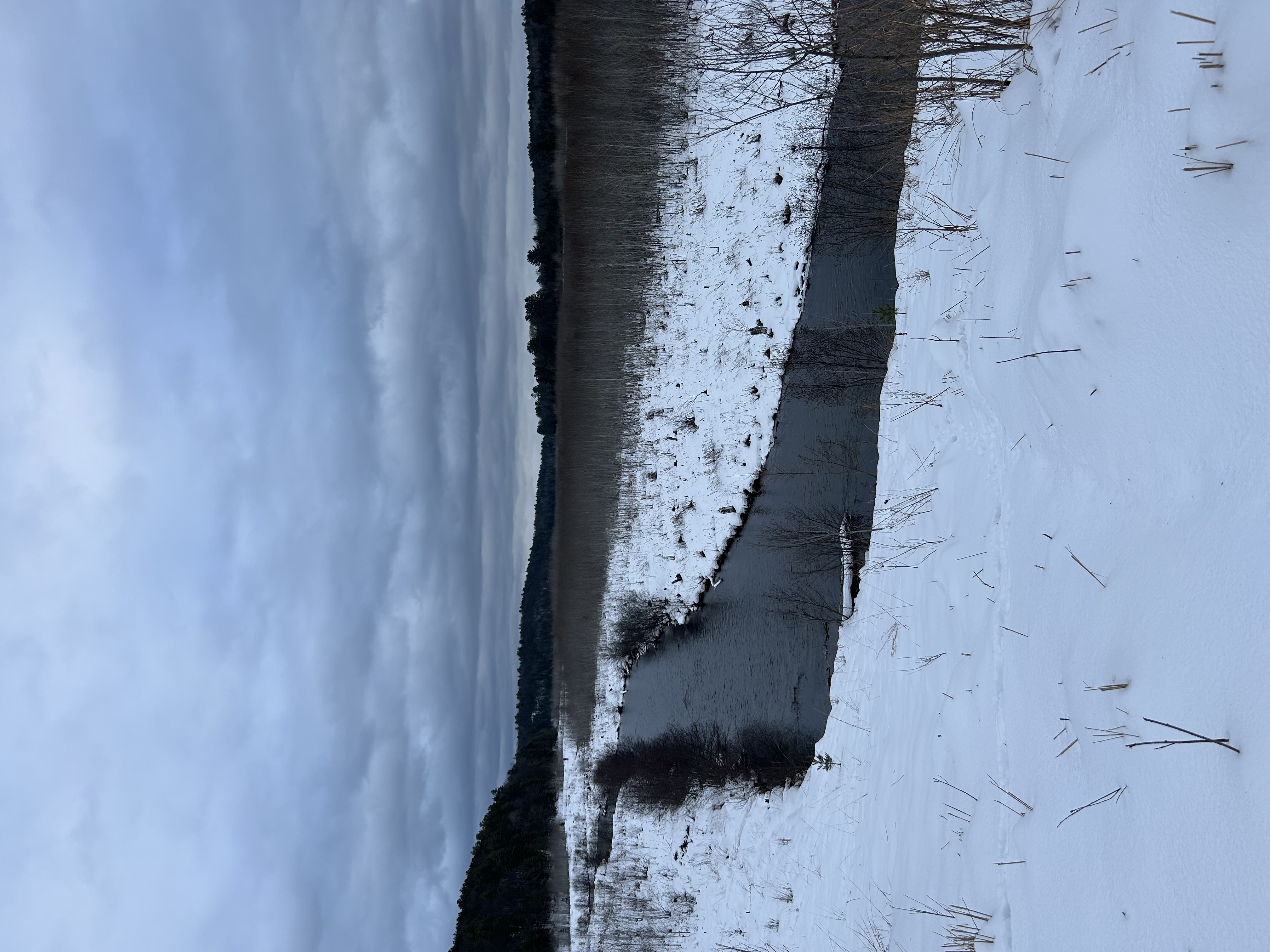 IMG_0052.jpeg