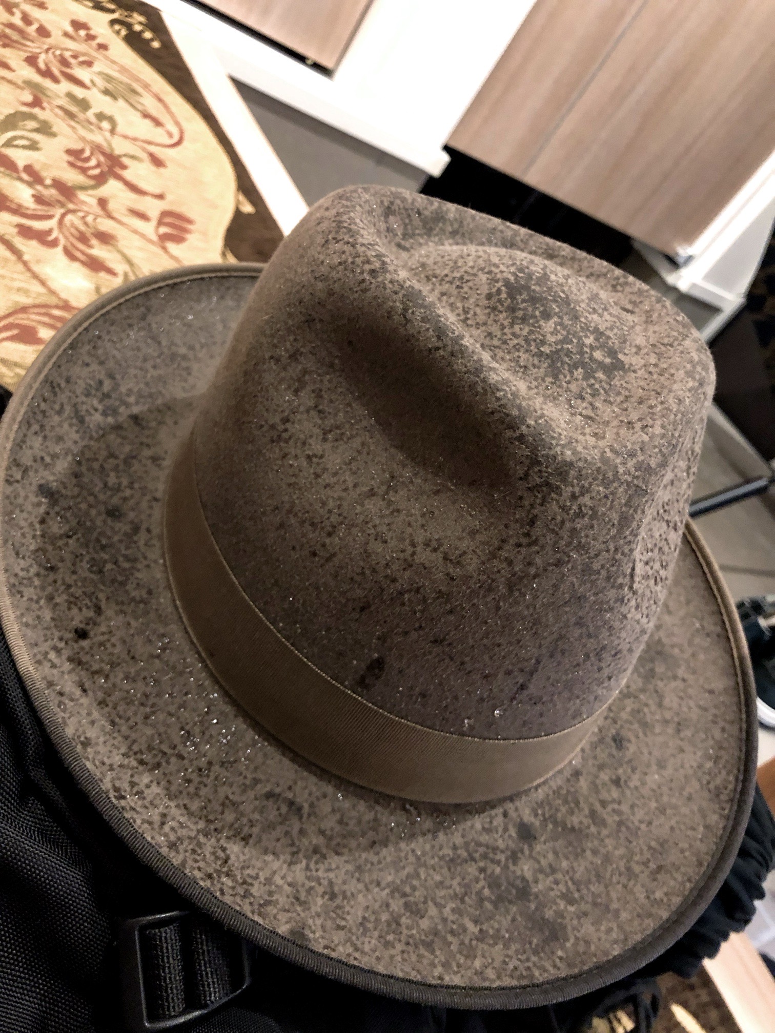 IMG_0903.jpeg