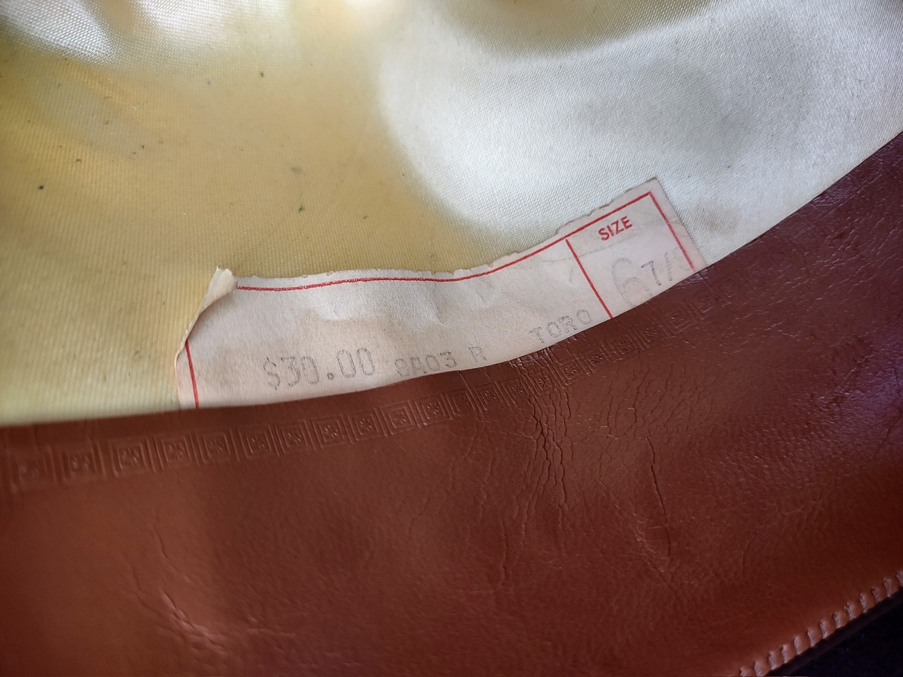 IMG_20230807_183711451_HDR_Original.jpeg