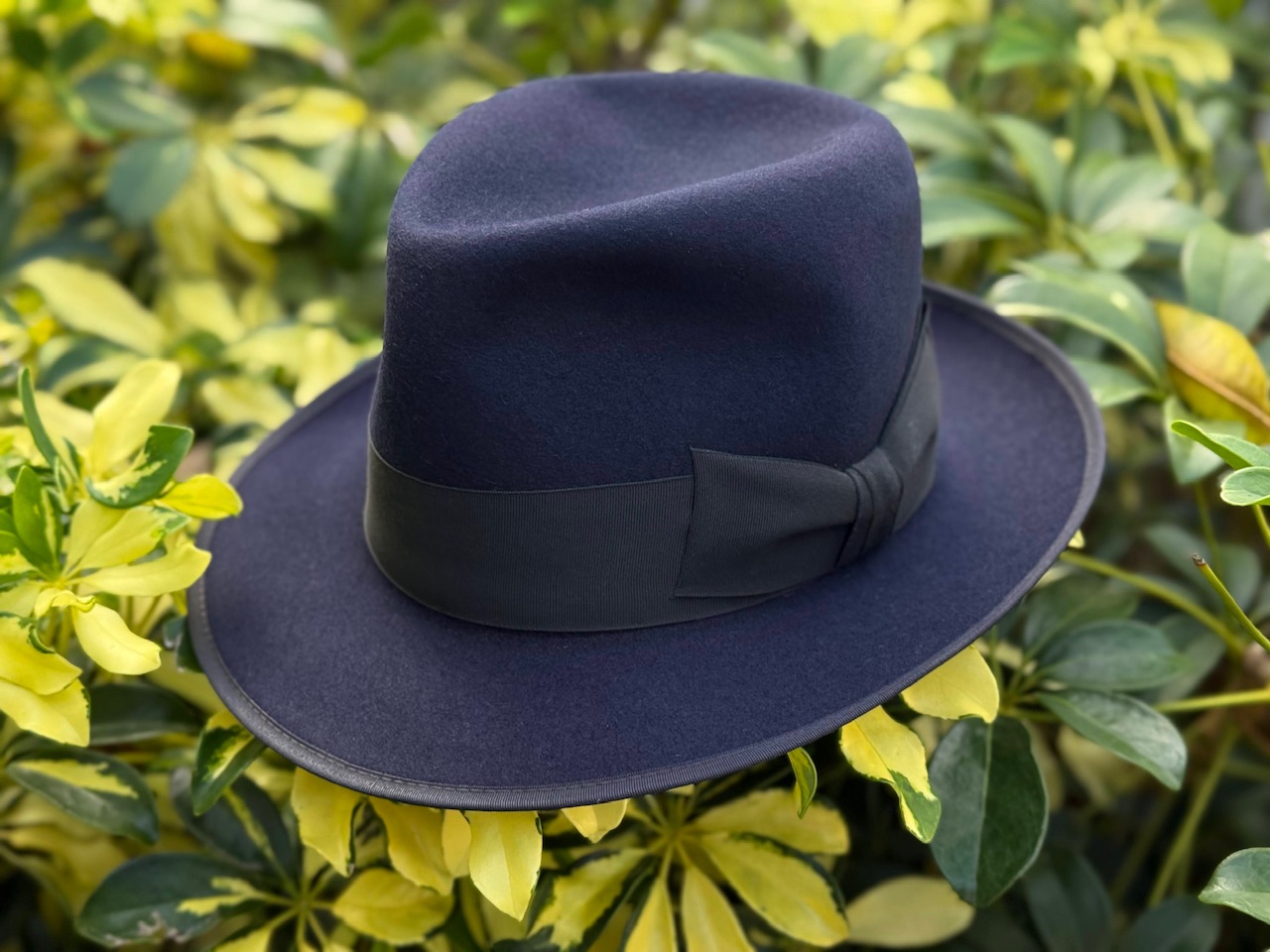 IMG_2285_Original.jpeg