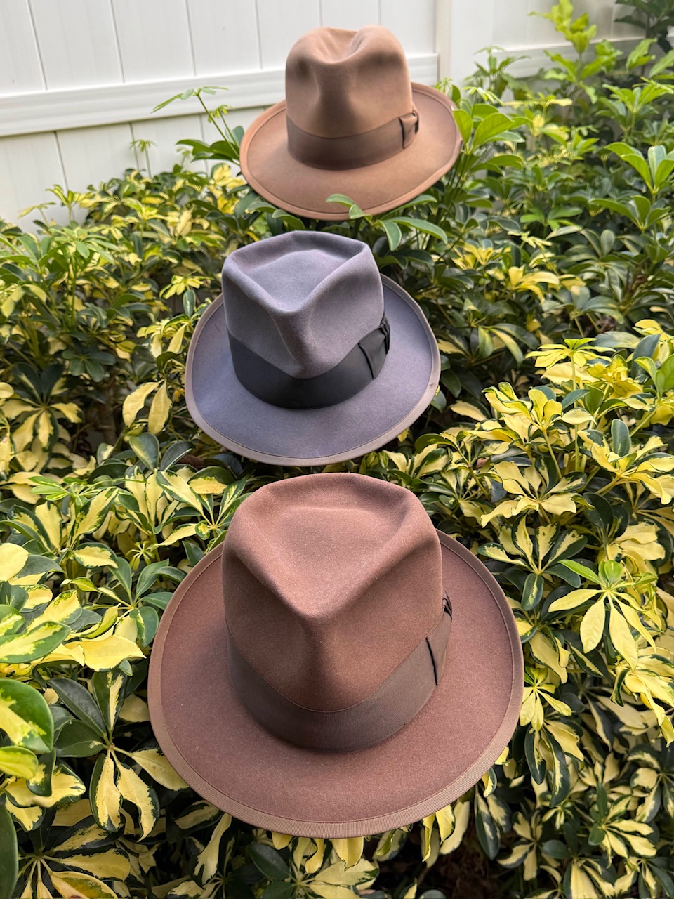IMG_2624_Original.jpeg