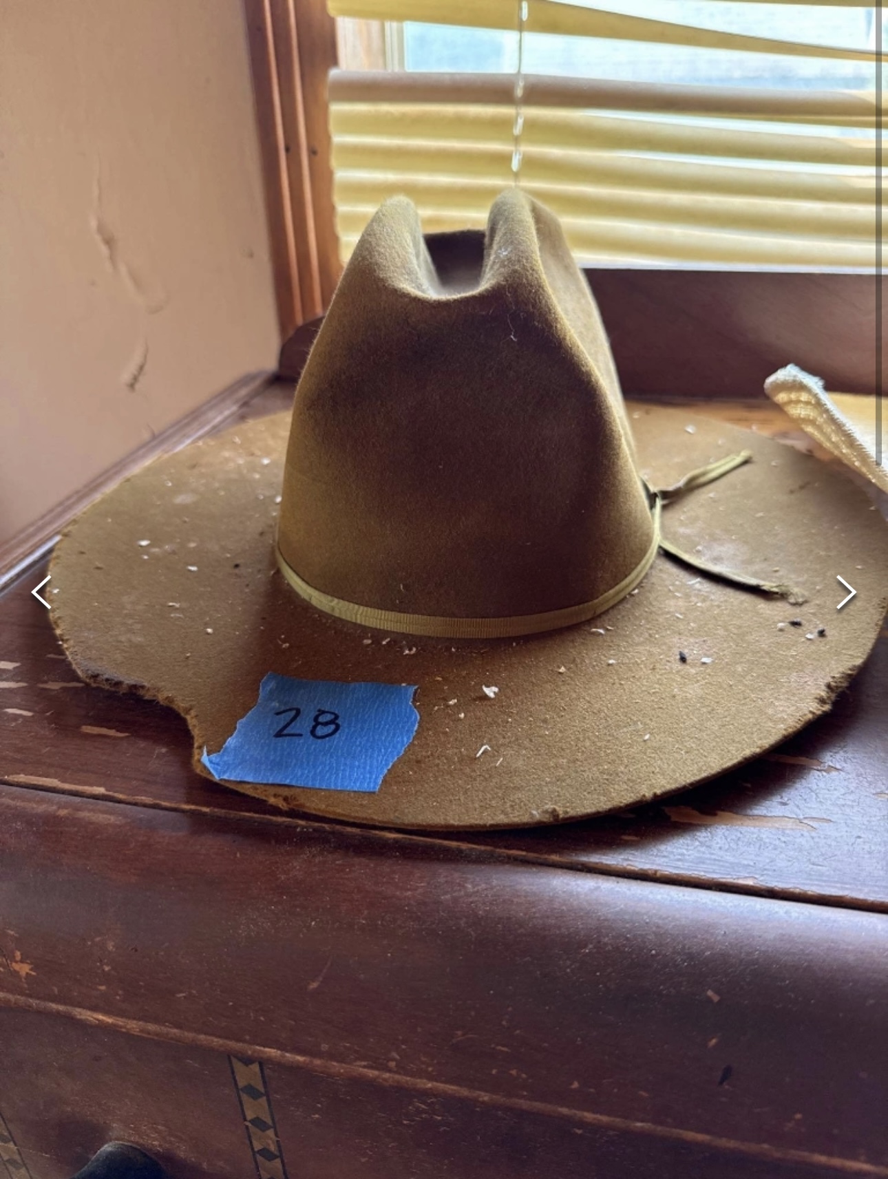IMG_2804.jpeg