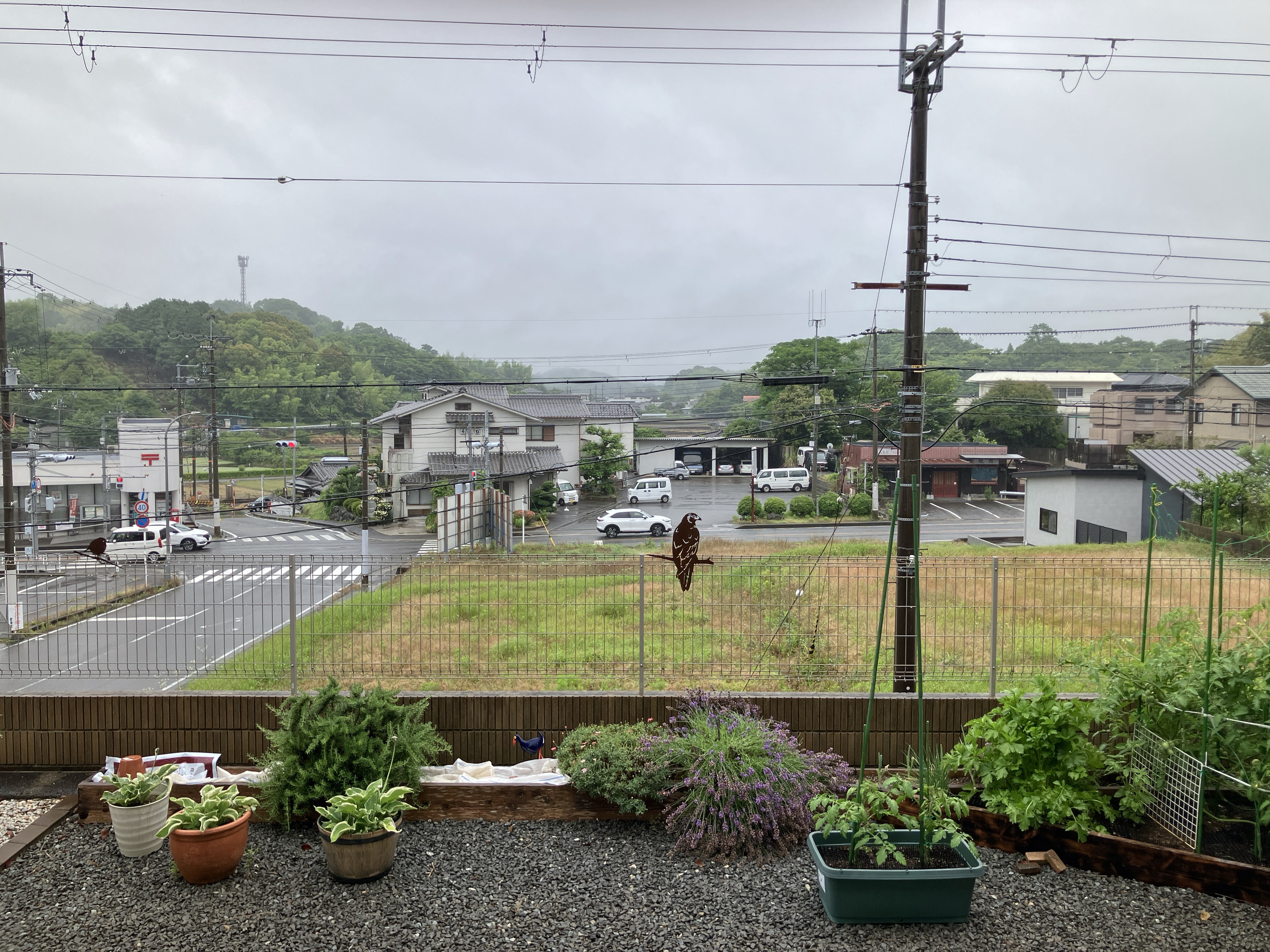 IMG_3729.jpeg