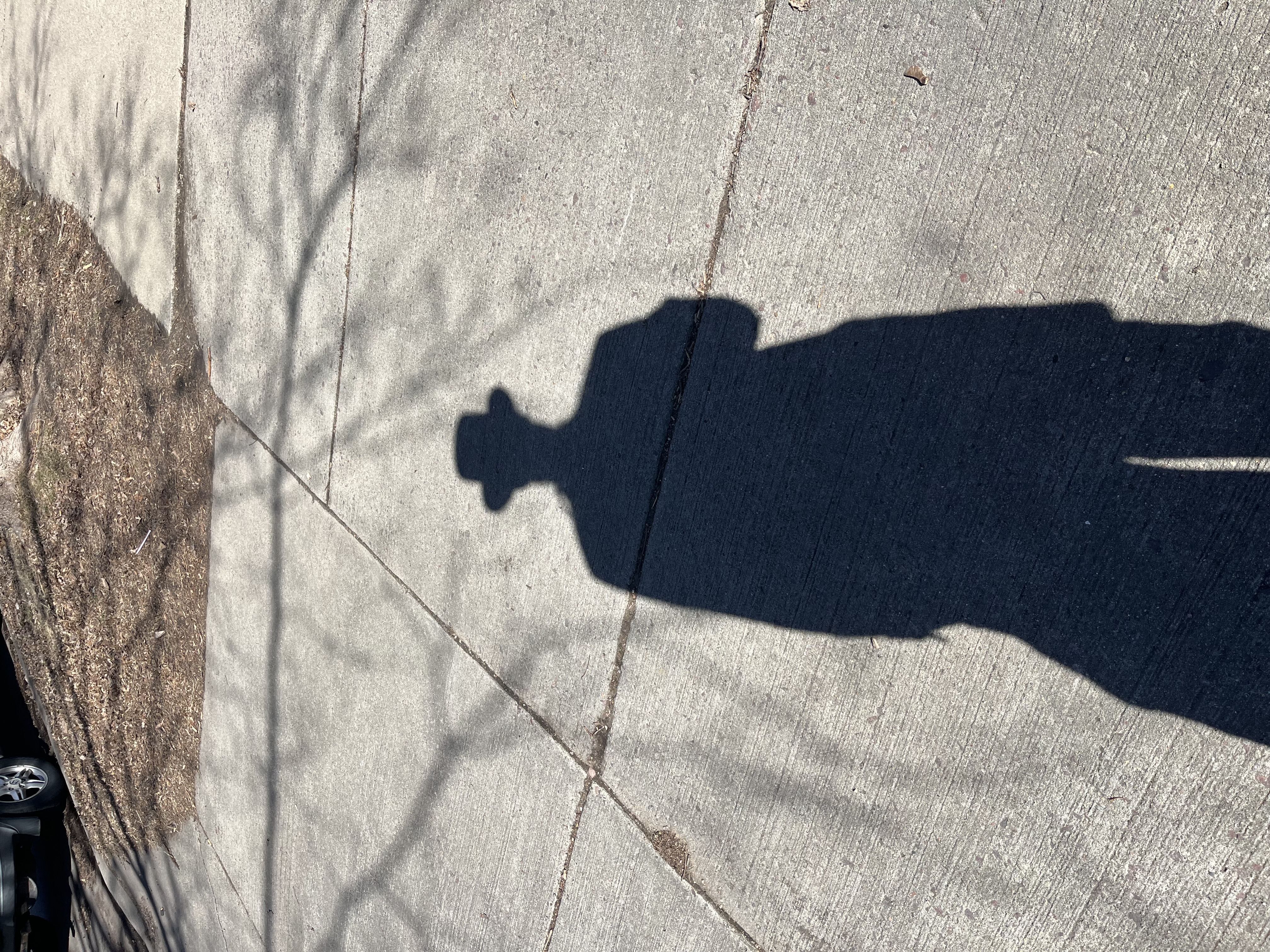 IMG_4506.jpeg