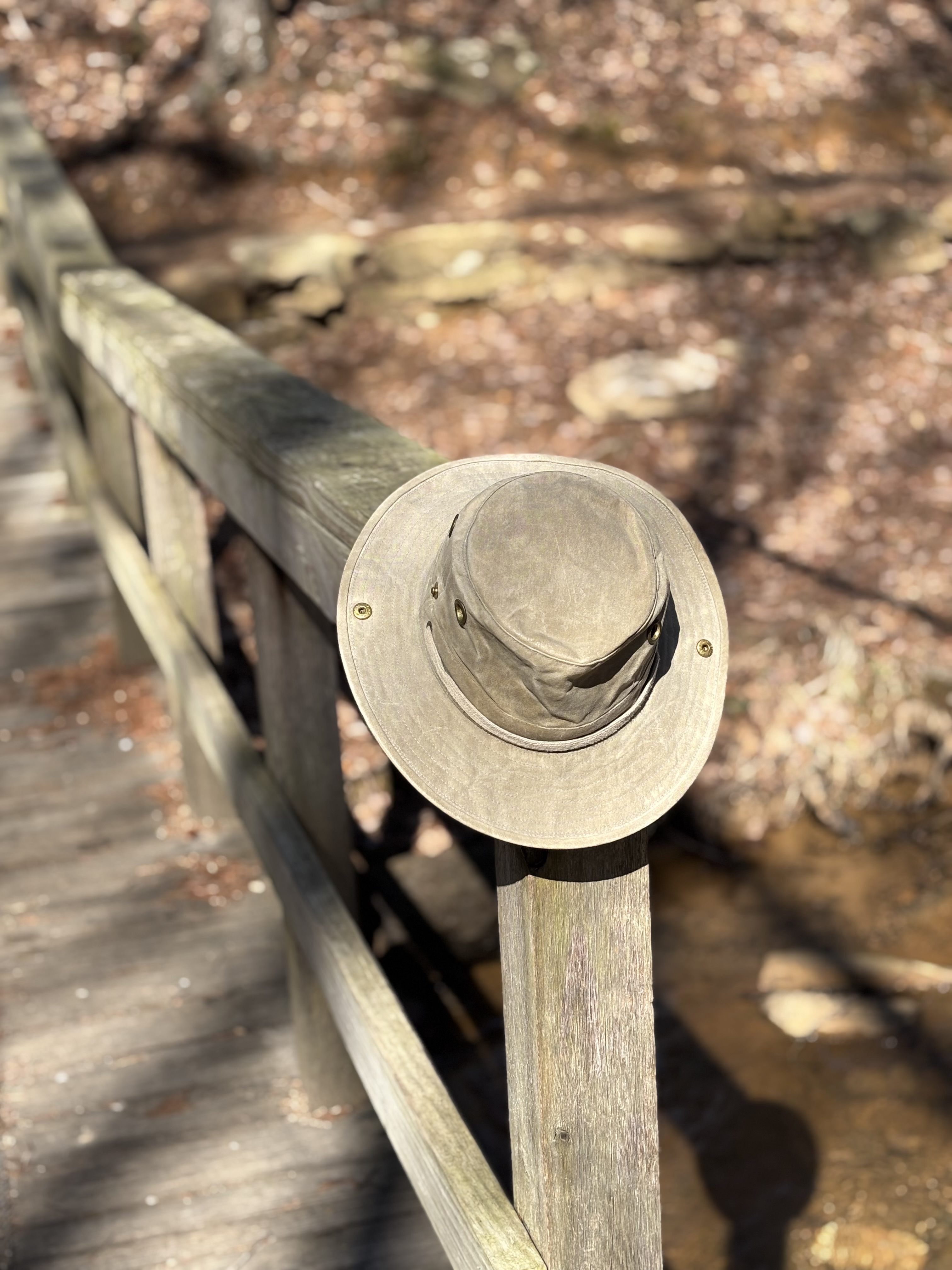 IMG_4556.jpeg