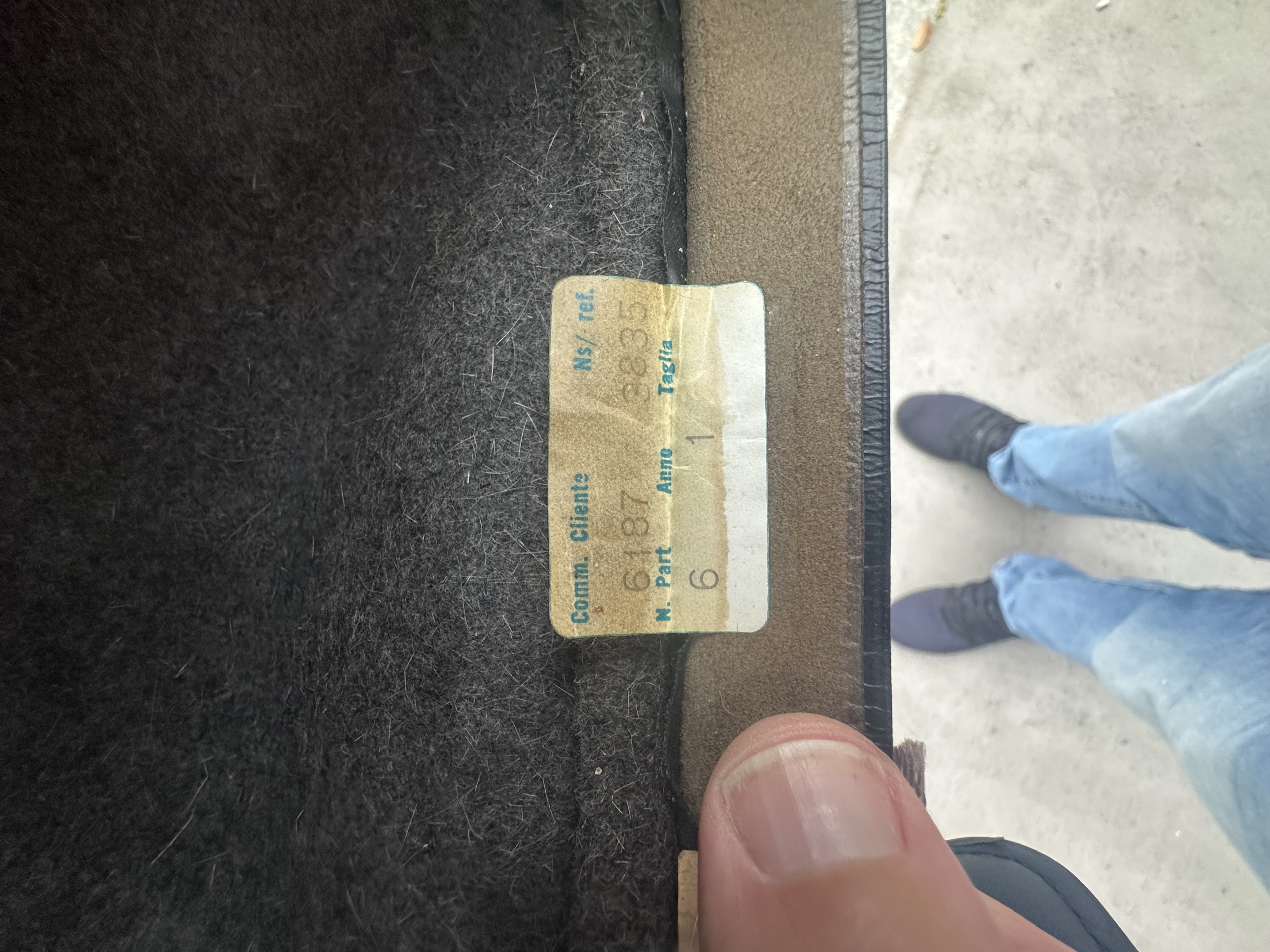 IMG_6960.jpeg