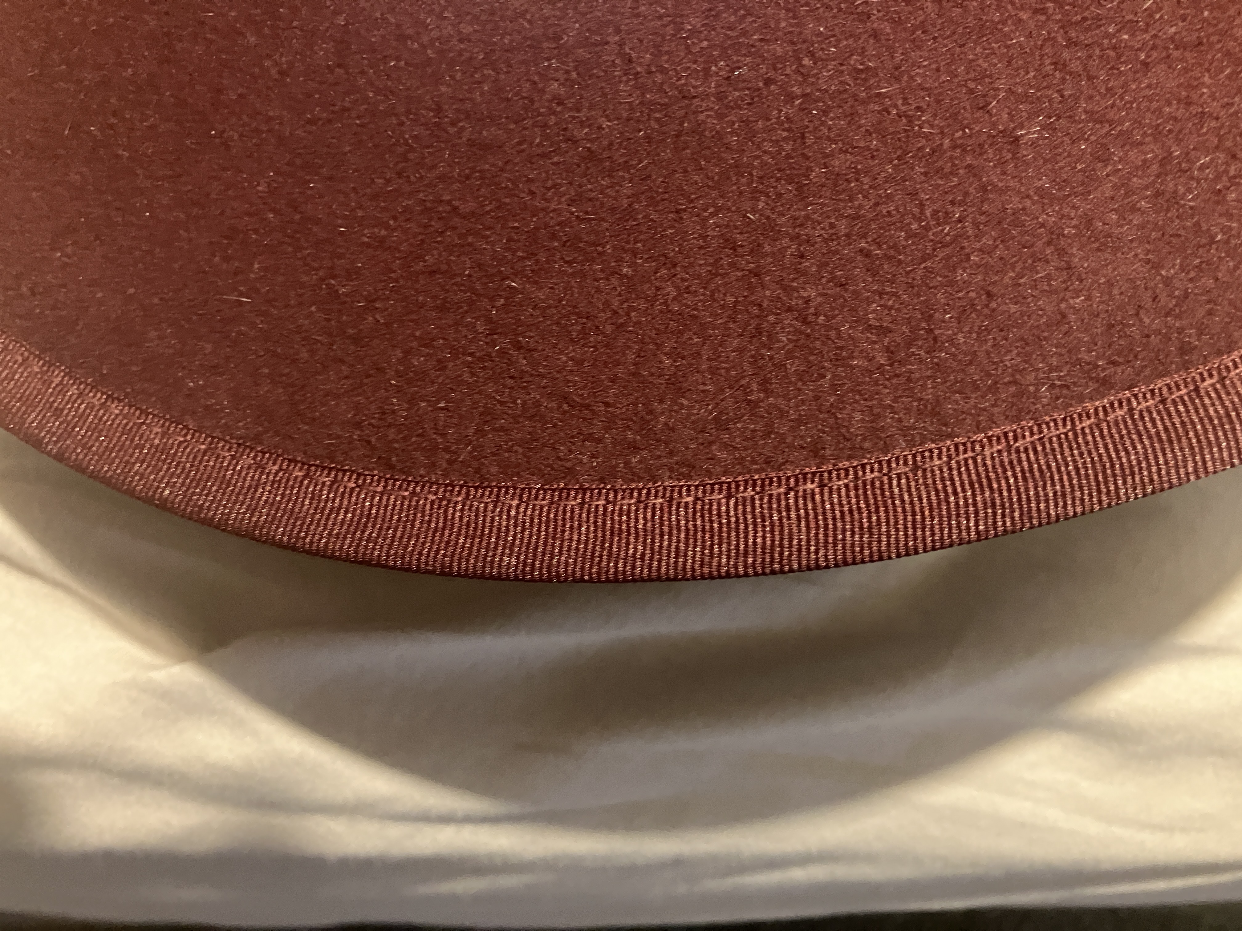 IMG_7139.jpeg